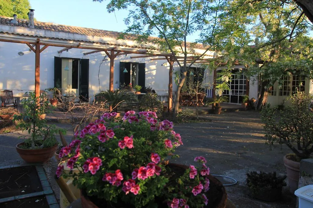 B&B La Casa Di Pippinitto Santa Venerina Bed & Breakfast